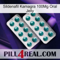 Sildenafil Kamagra 100Mg Oral Jelly dapoxetine2